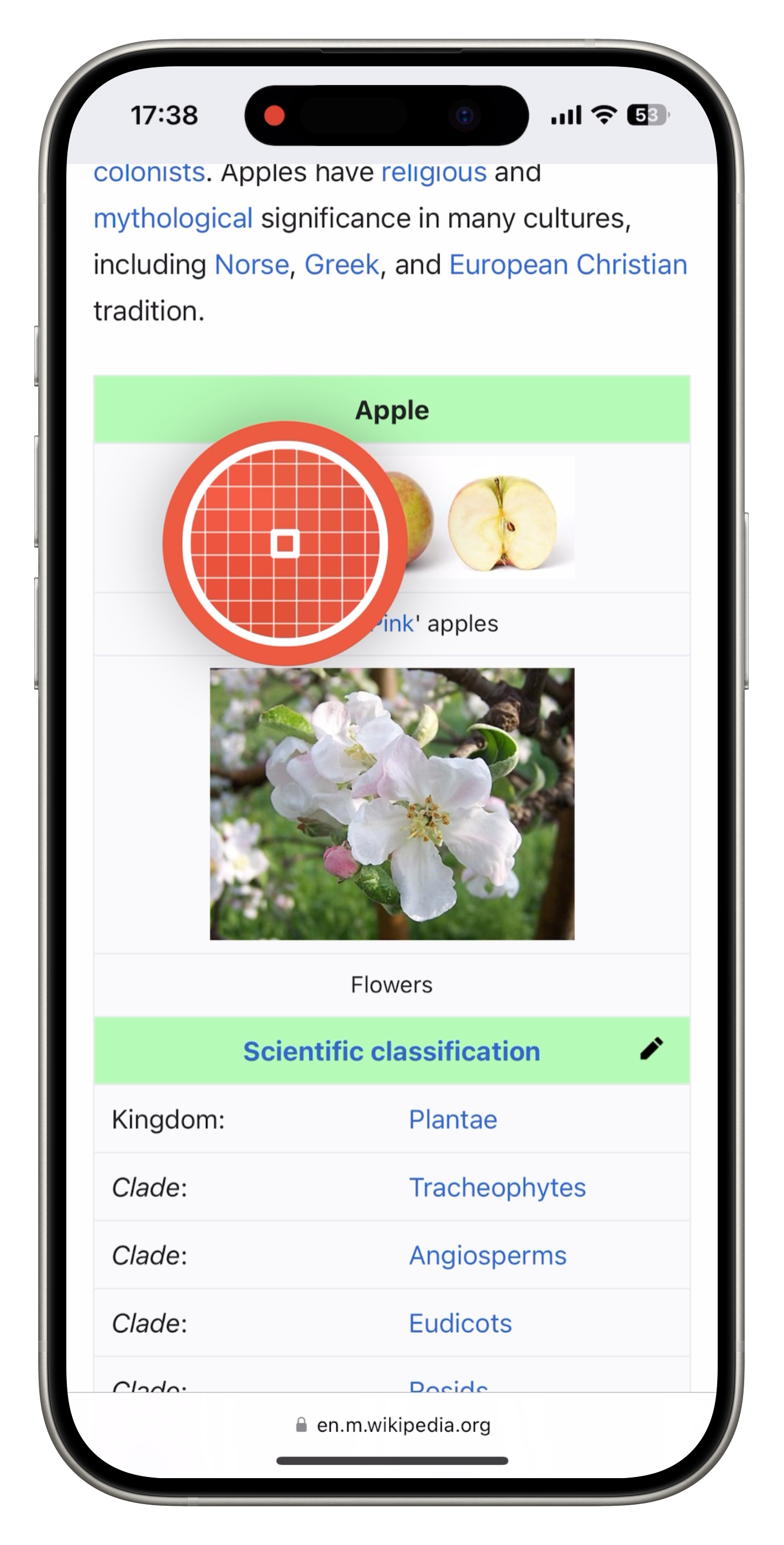 HueHouse collections screen on iPhone