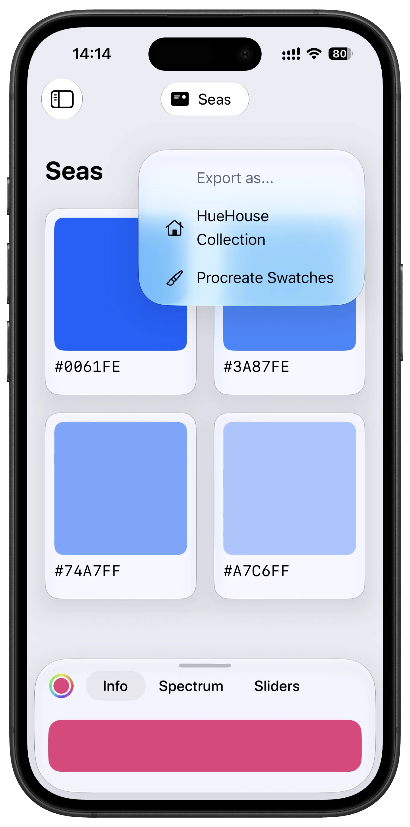 HueHouse custom format export screen on iPhone
